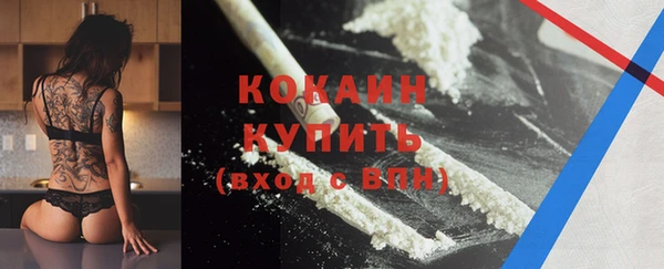 хмурый Дмитров