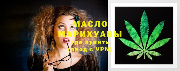 хмурый Дмитров
