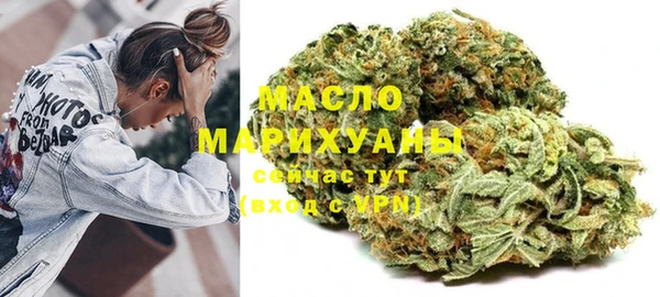 хмурый Дмитров