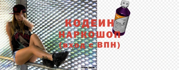хмурый Дмитров