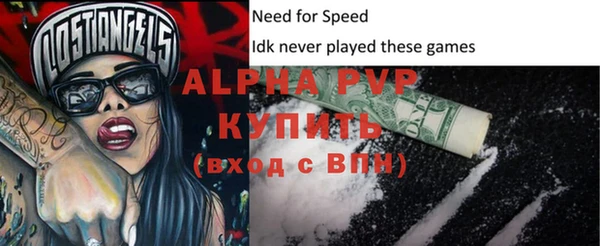 хмурый Дмитров