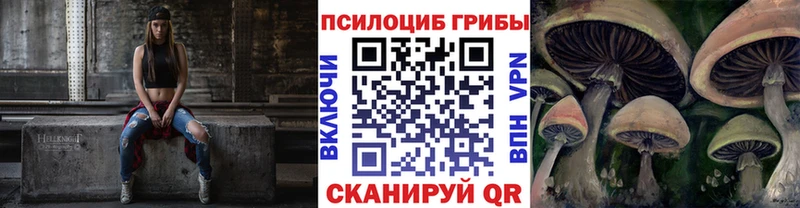 Купить где  Королёв  Галлюциногенные грибы прущие грибы 